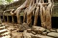 Angkor 15